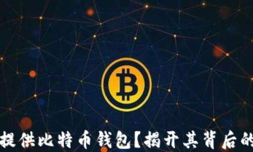 
公司为何提供比特币钱包？揭开其背后的商业逻辑