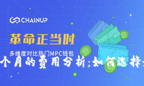 区块链钱包一个月的费用分析：如何选择最适合的方案？
