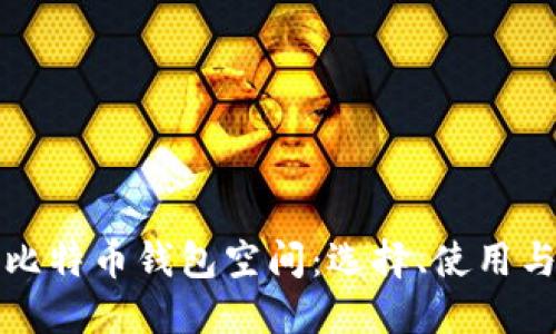 深入探讨比特币钱包空间：选择、使用与管理技巧