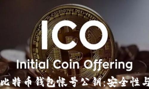
深入了解比特币钱包帐号公钥：安全性与使用方法