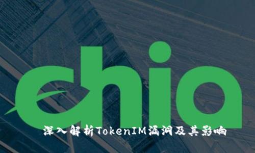 深入解析TokenIM漏洞及其影响