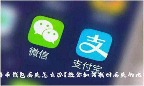 比特币钱包丢失怎么办？教你如何找回丢失的比特币