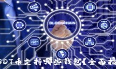   USDT币支持哪些钱包？全