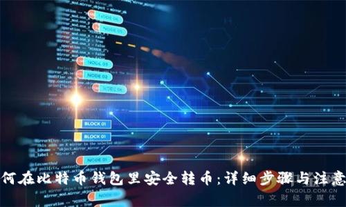 : 如何在比特币钱包里安全转币：详细步骤与注意事项