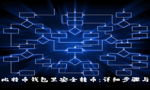: 如何在比特币钱包里安全转币：详细步骤与注意事项