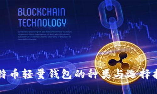 比特币轻量钱包的种类与选择指南