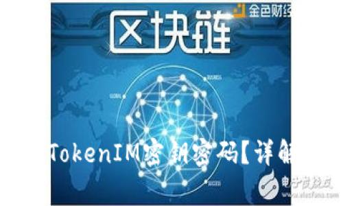 如何找回丢失的TokenIM密钥密码？详解步骤与注意事项