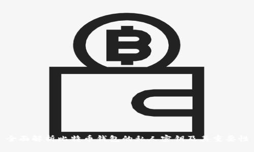 全面解析比特币钱包的私人密钥及其重要性