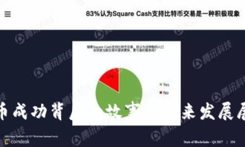 Pi币成功背后的故事与未来发展展望