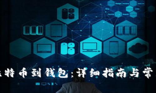 如何导入比特币到钱包：详细指南与常见问题解答