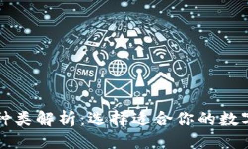 区块链钱包的种类解析：选择适合你的数字资产管理工具