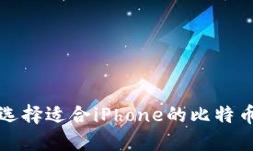 如何选择适合iPhone的比特币钱包