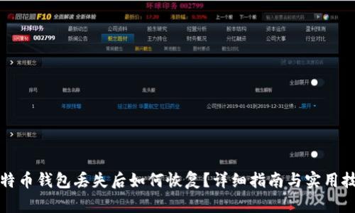 比特币钱包丢失后如何恢复？详细指南与实用技巧