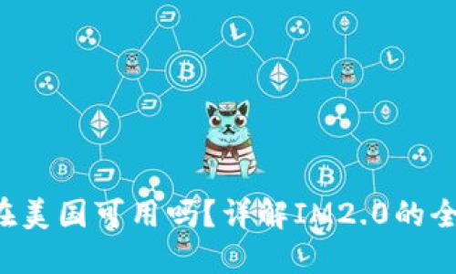 : IM2.0在美国可用吗？详解IM2.0的全球适用性
