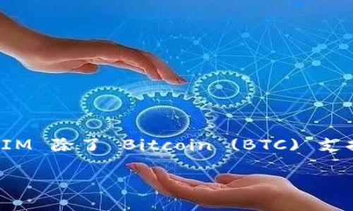 在讨论关于 TokenIM 不支持 BTC 的问题之前，首先需要对 TokenIM 除了 Bitcoin (BTC) 支持的加密货币和其功能有一个大致的了解。本回答将以以下结构展开：

TokenIM 钱包不支持 BTC 的原因与影响