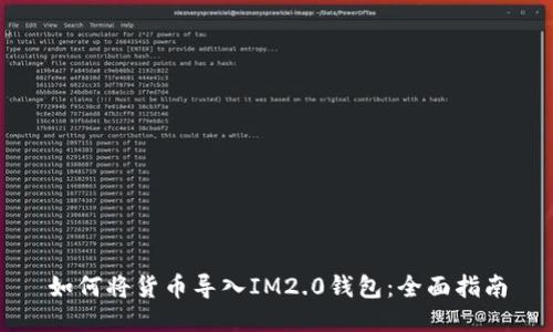 如何将货币导入IM2.0钱包：全面指南