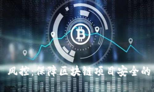 Tokenim 风控：保障区块链项目安全的关键措施