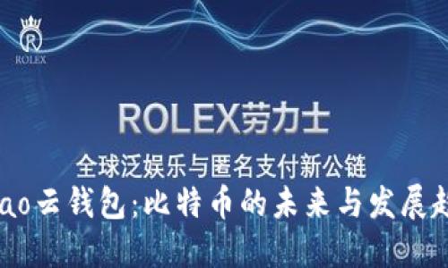 aliao云钱包：比特币的未来与发展趋势