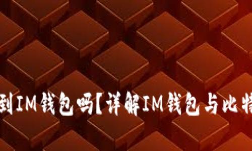 比特币能提到IM钱包吗？详解IM钱包与比特币的兼容性