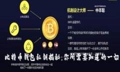  比特币钱包私钥揭秘：你所需要知道的一切