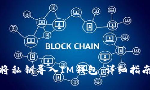 如何安全地将私钥导入IM钱包：详细指南与注意事项